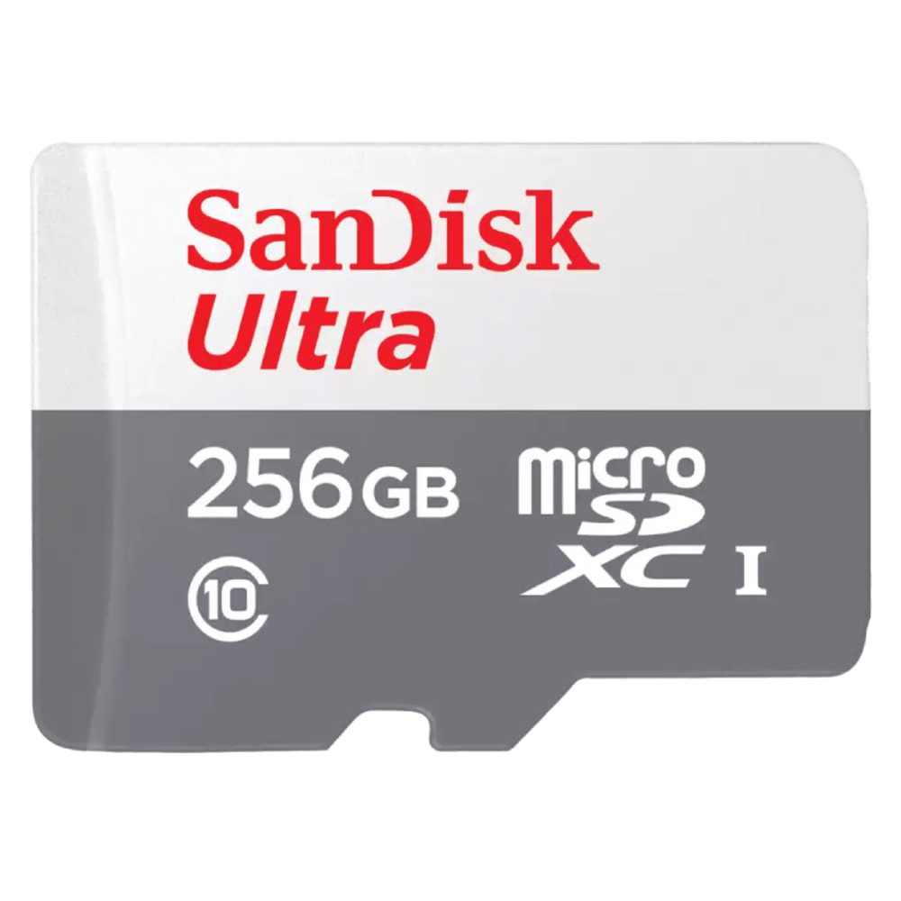 כרטיס זיכרון MicroSD SanDisk Ultra Lite 256GB 100MB/s UHS-I – תמונה 2
