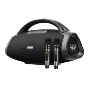 רמקול בידורית W-King D20 200W Bluetooth כולל 2 מיקרופונים